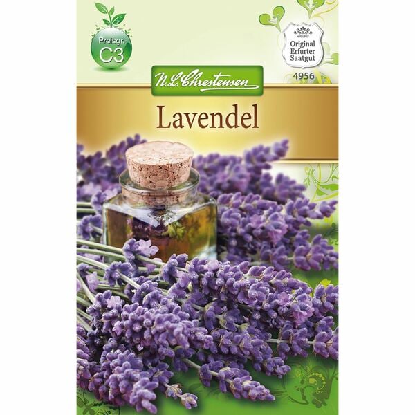 Bild 1 von Lavendel mehrjährig