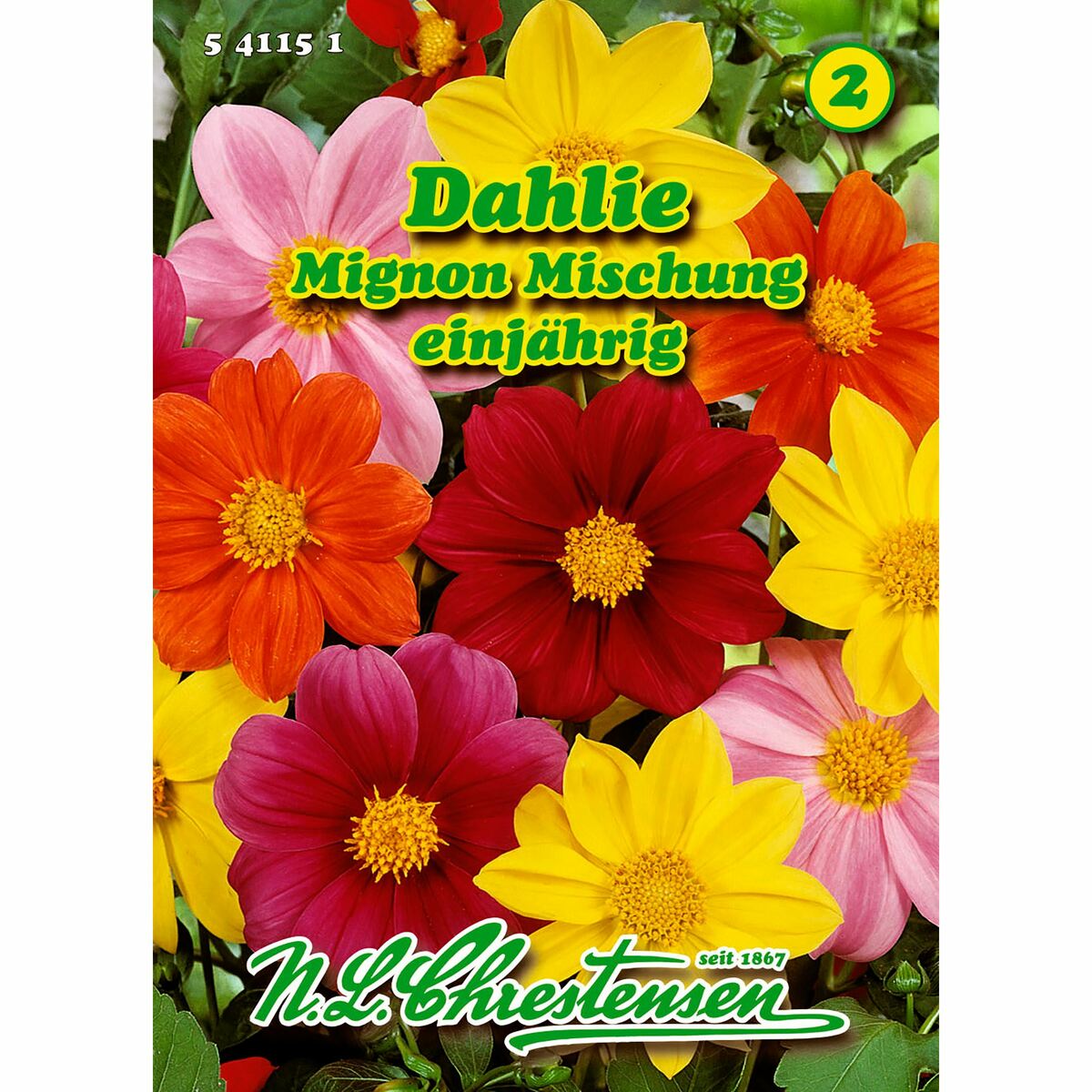 Bild 1 von Dahlia, Dahlie, Mignon Mischung