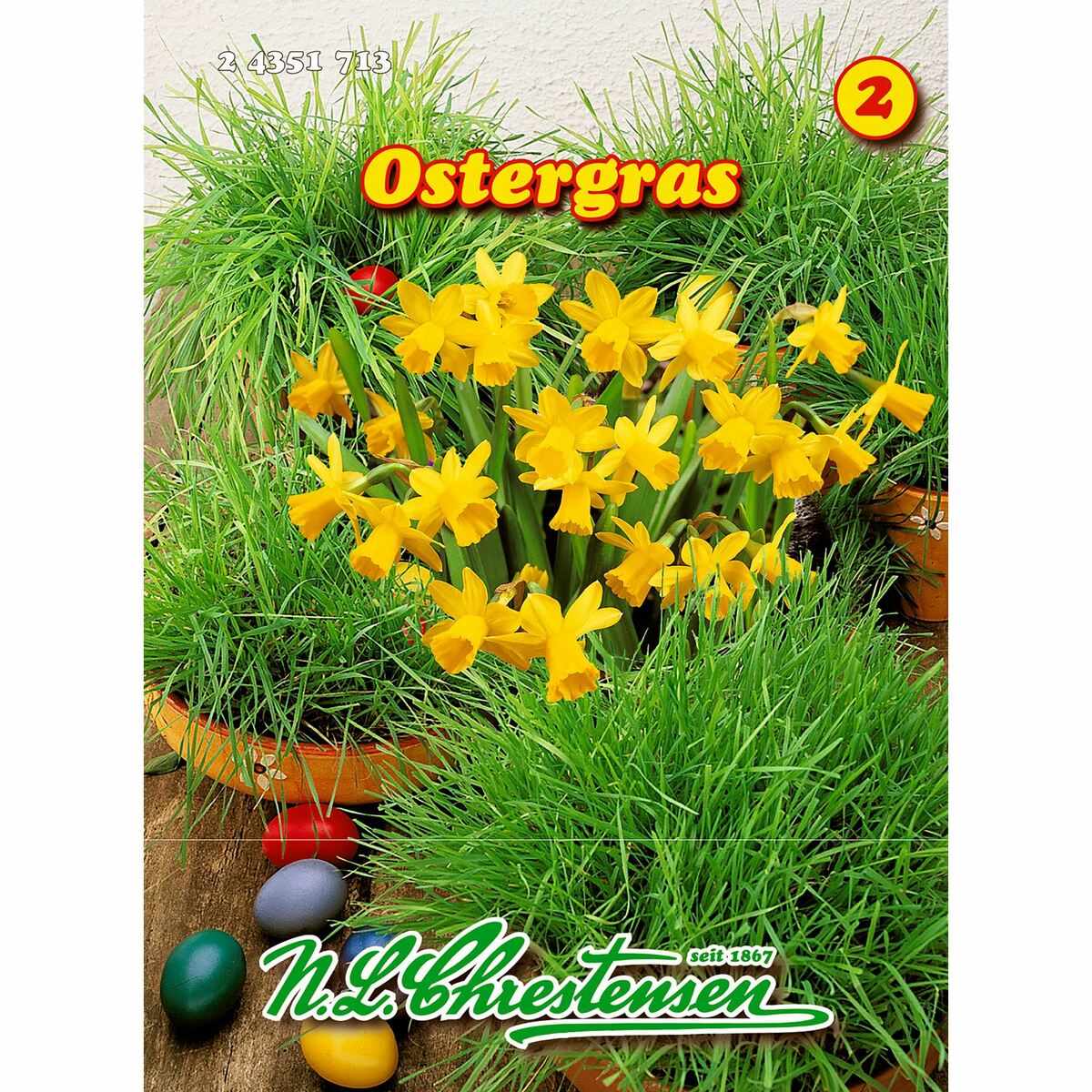 Bild 1 von Ostergras 50 g