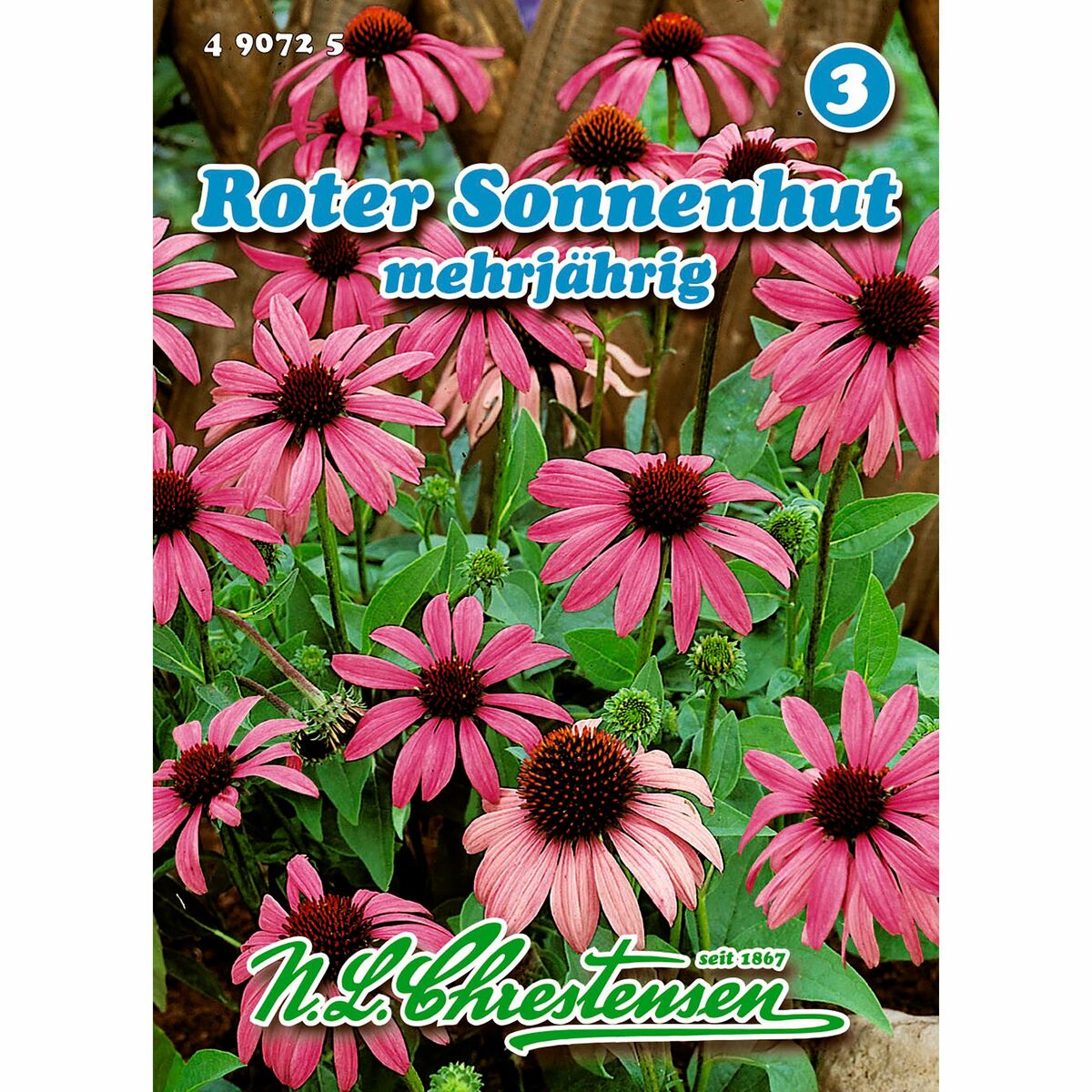 Bild 1 von Sonnenhut, Roter, Echinacea purpurea