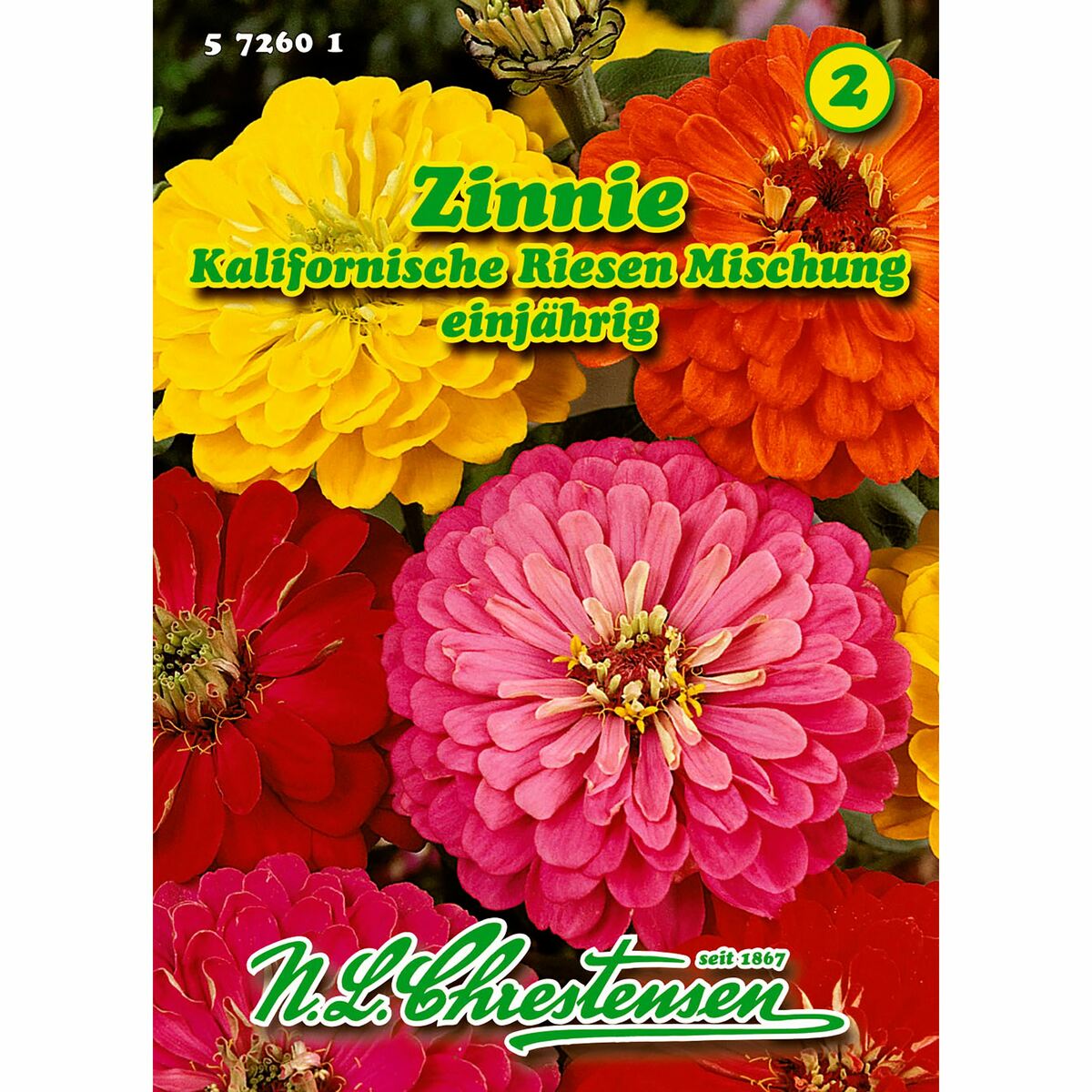 Bild 1 von Zinnia, Zinnie, Kalifornische Riesen, Mischung
