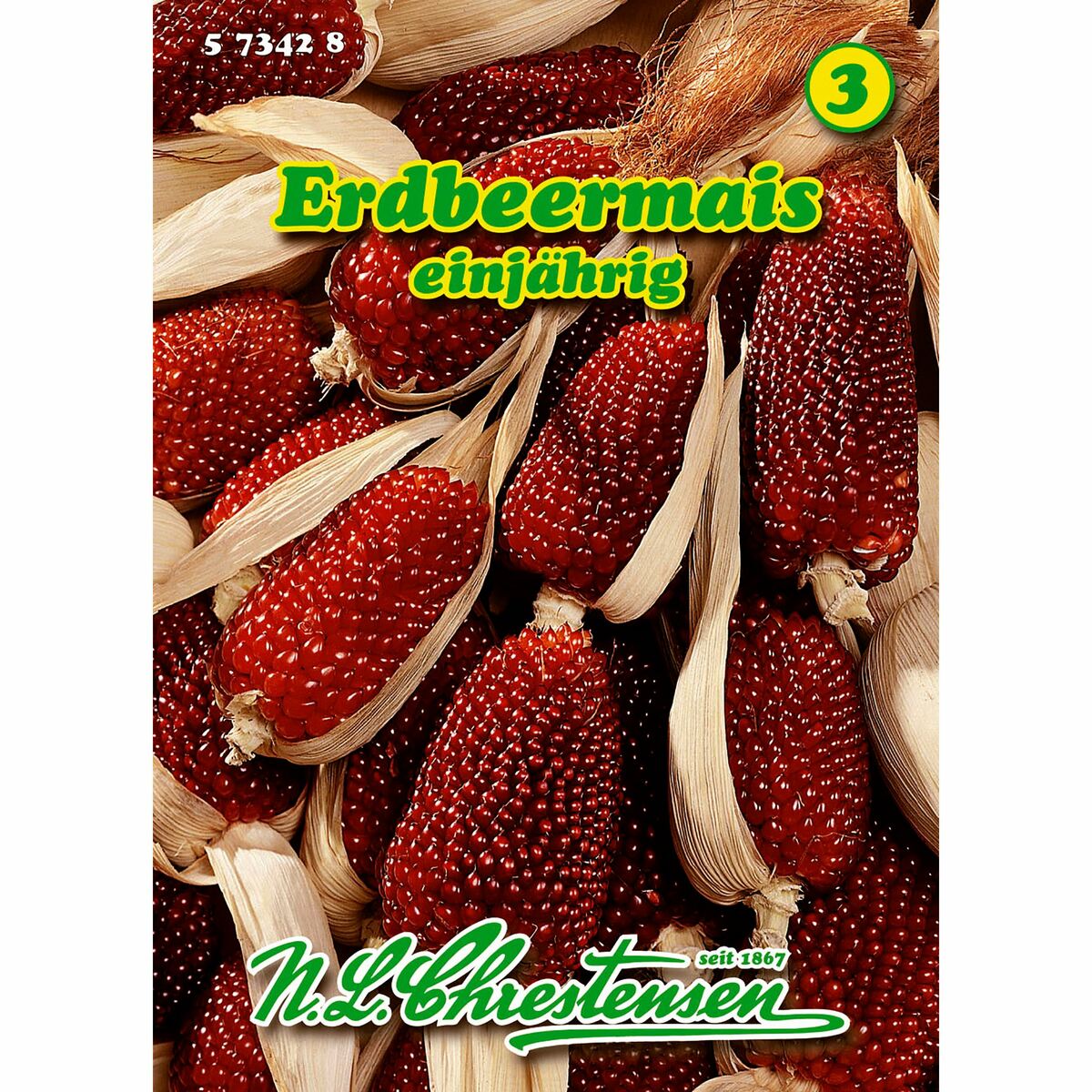 Bild 1 von Zea mays, Erdbeermais