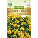 Bild 1 von Tagetes lucida Aztekische Würztagtes, Sweet Mace