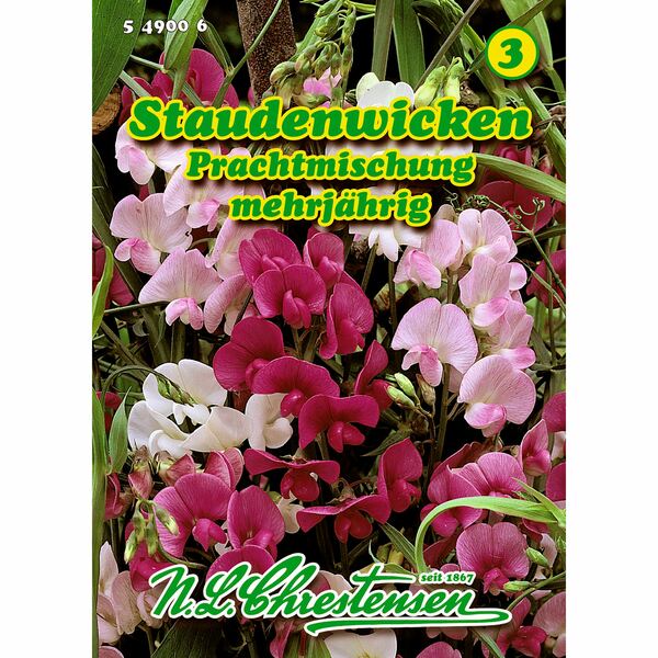 Bild 1 von Lathyrus latifolius, Staudenwicken, Prachtmischung