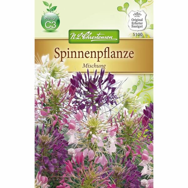 Bild 1 von Cleome spinosa Spinnenpflanze, Mischung