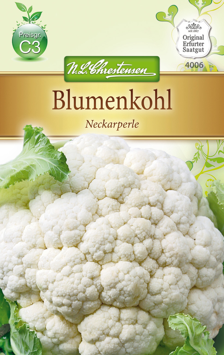Bild 1 von Blumenkohl Neckarperle