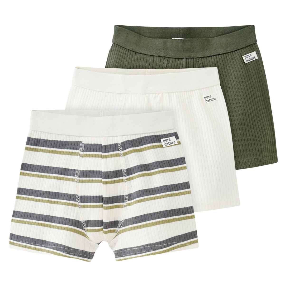 Bild 1 von 3 Jungen Boxer mit Rippstruktur