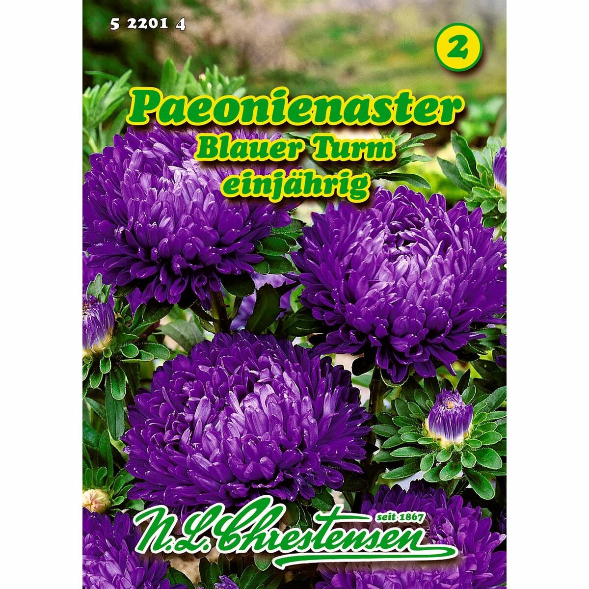 Bild 1 von Callistephus, Paeonienaster, Blauer Turm