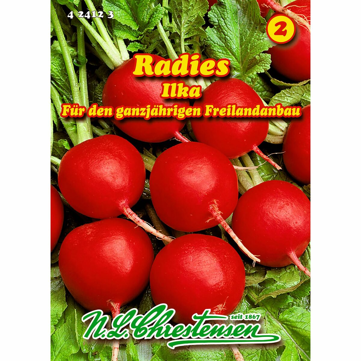 Bild 1 von Radies, Ilka, GS