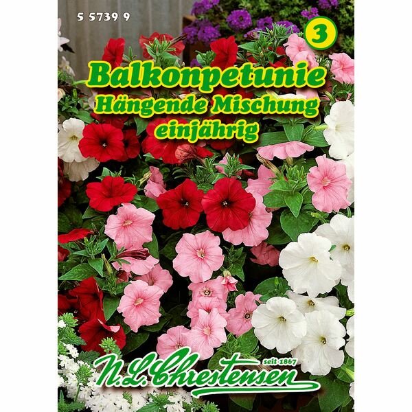 Bild 1 von Petunia pendula, Balkon-Petunien, Mischung