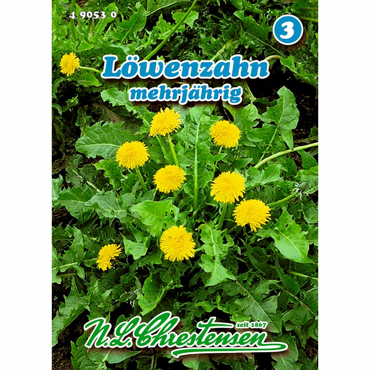 Bild 1 von Löwenzahn