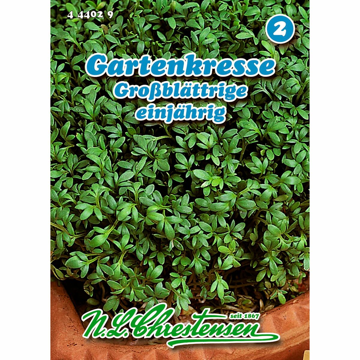 Bild 1 von Gartenkresse, Großblättrige