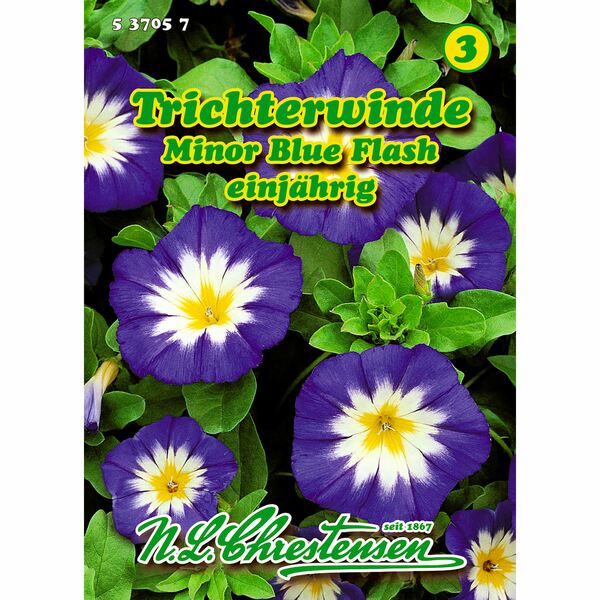 Bild 1 von Convolvulus tric., Trichterwinde, Minor Blue Flash