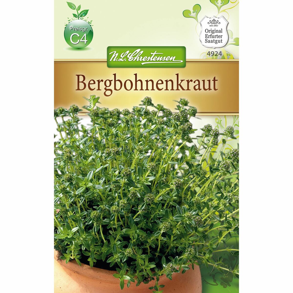 Bild 1 von Bergbohnenkraut mehrjährig