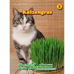 Katzengras 40 g