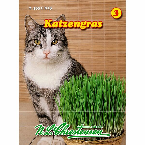 Bild 1 von Katzengras 40 g