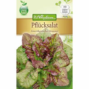 Pflücksalat Amerikanischer brauner für ca. 200 Pflanzen