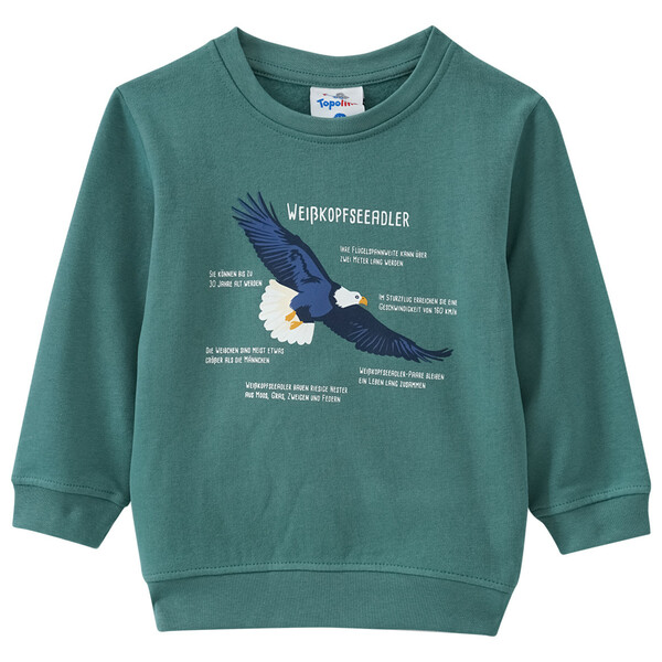 Bild 1 von Kinder Sweatshirt mit Weißkopfseeadler-Motiv