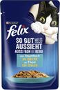 Bild 1 von Felix So gut wie es aussieht mit Thunfisch in Gelee