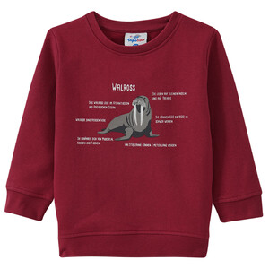 Kinder Sweatshirt mit Walross-Motiv