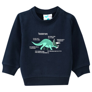 Baby Sweatshirt mit Triceratops