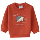 Bild 1 von Baby Sweatshirt mit Igel-Motiv