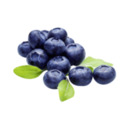 Bild 1 von Deutschland Heidelbeeren