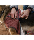 Bild 3 von RUFFWEAR® Hundesweater Hemp Hound™ Fired Brick