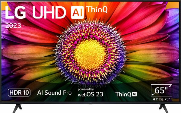 LG 65UR80006LJ LED-Fernseher (164 cm/65 Zoll, 4K Ultra HD, Smart-TV ...
