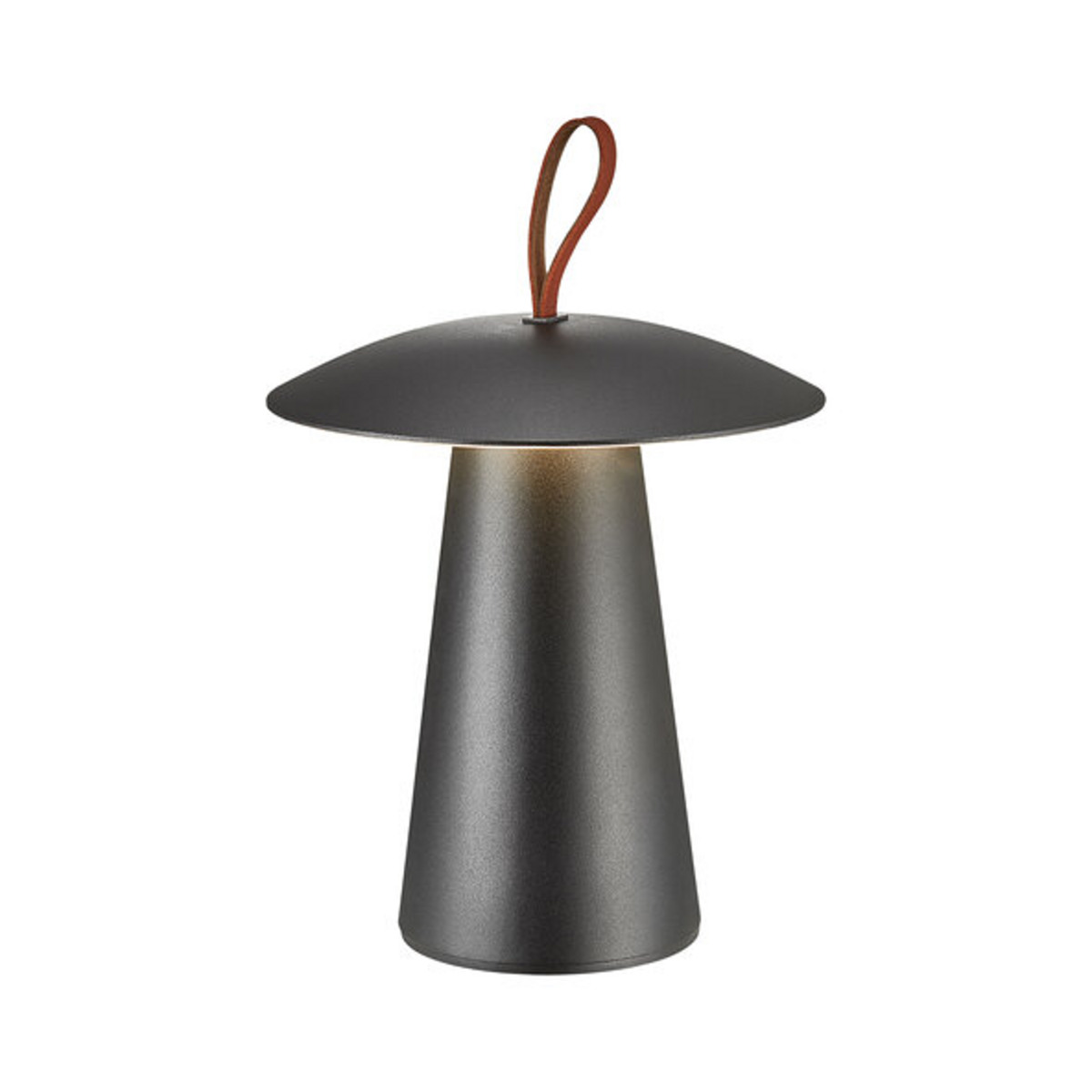 Bild 1 von LED-Outdoor-Akku-Tischleuchte Ara To-Go, schwarz