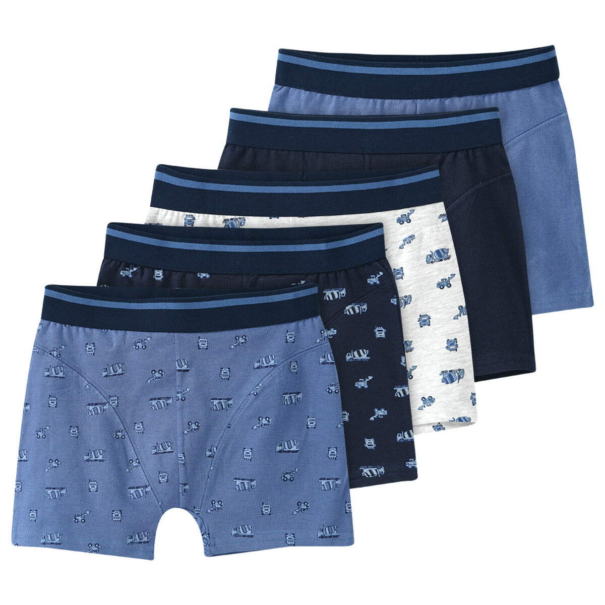 Bild 1 von 5 Jungen Boxer in verschiedenen Dessins