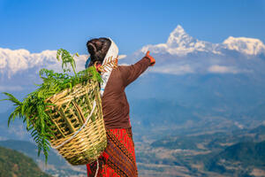 Rundreisen Nepal: Kleingruppen-Rundreise ab/an Kathmandu