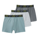 Bild 1 von 3 Jungen Boxer in verschiedenen Farben