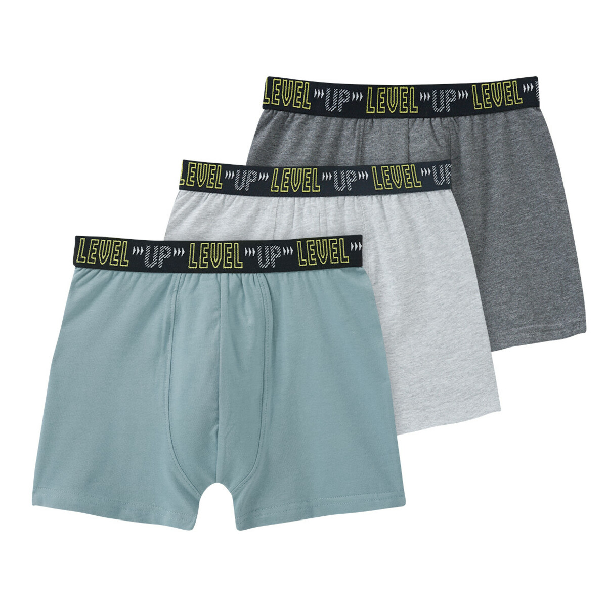 Bild 1 von 3 Jungen Boxer in verschiedenen Farben