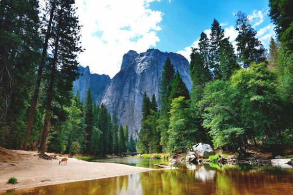 Bild 1 von Rundreisen USA: Rundreise von New York bis San Francisco inkl. 6 Nationalparks