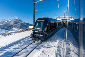 Eigene Anreise Schweiz: Panoramazug-Rundreise von Montreux bis Luzern