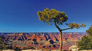 Bild 1 von Rundreisen USA/Westküste: Rundreise ab/an Las Vegas inkl. Besuch von 5 Nationalparks
