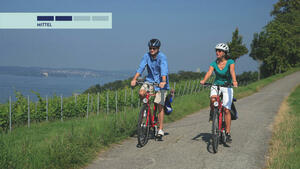 Eigene Anreise Deutschland, Österreich & Schweiz: Radreise Bodensee-Radweg