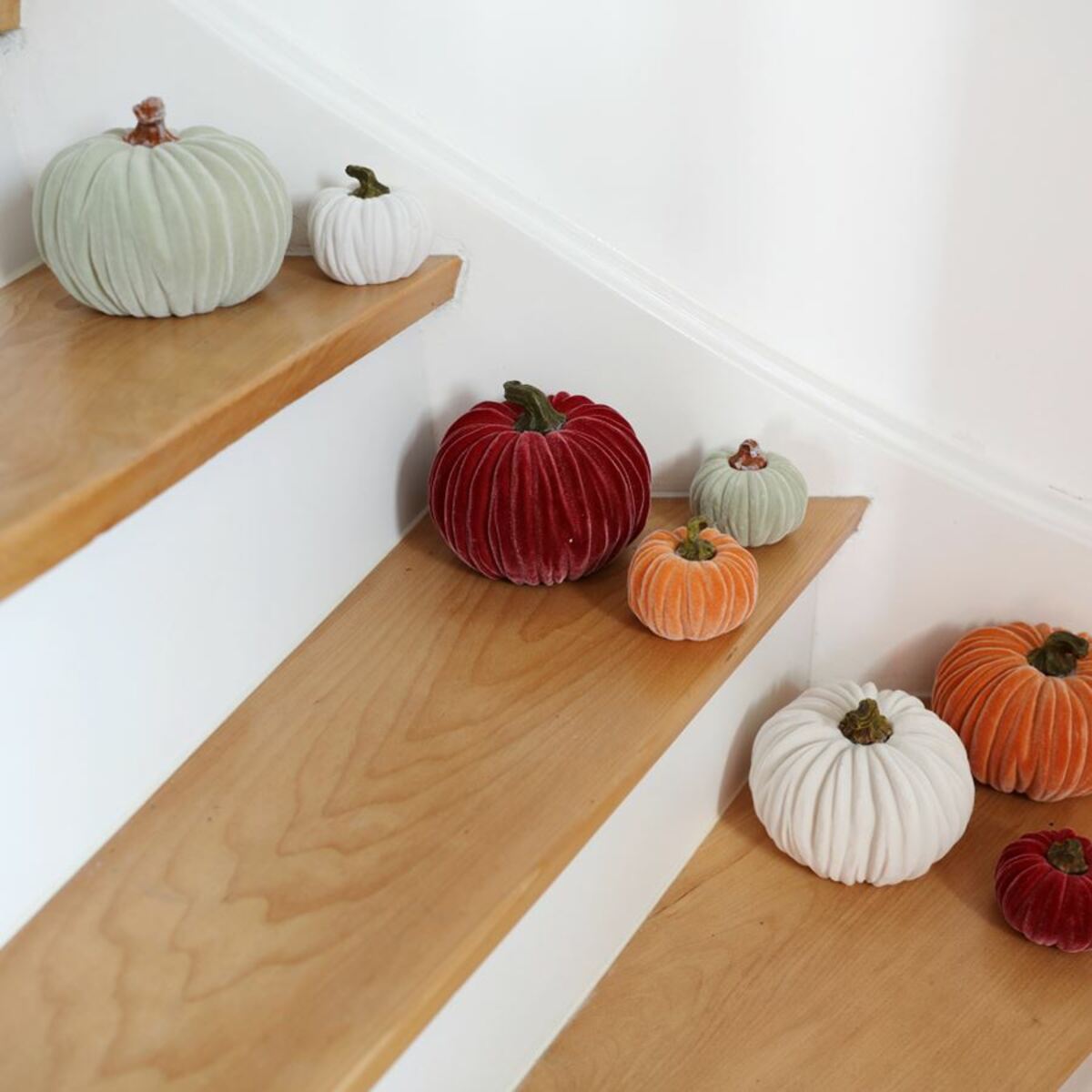 Bild 2 von Deko-Kürbis mit Samtüberzug 8cm