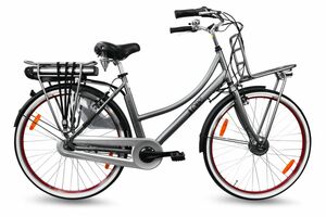LLobe City-E-Bike 28" Rosendaal 3 Lady grau 36V / 13Ah