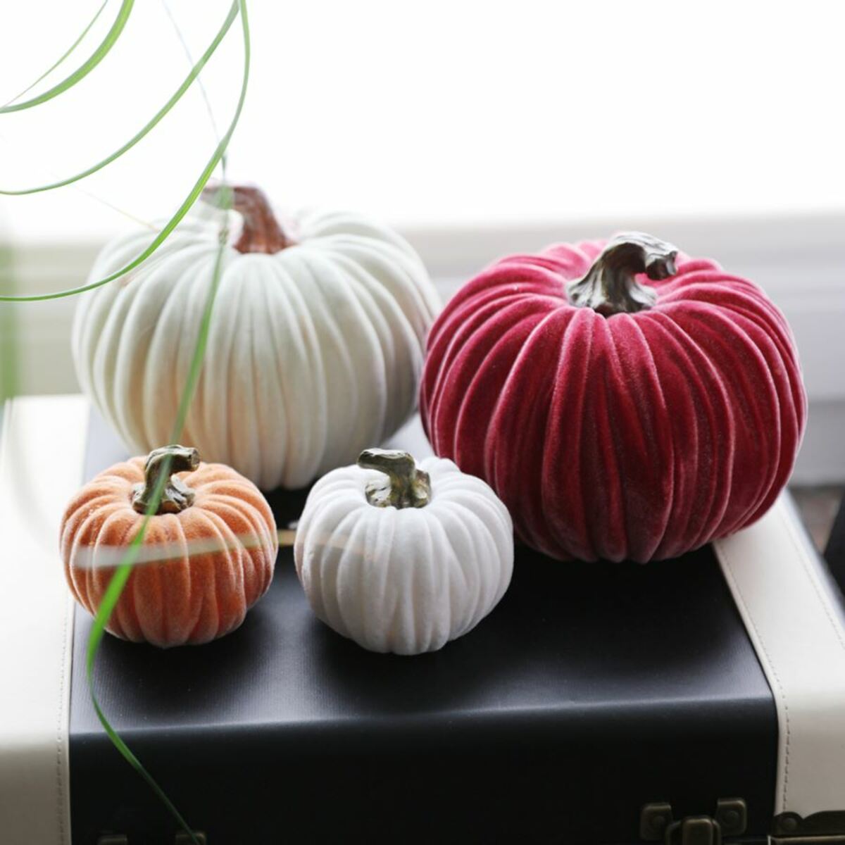 Bild 3 von Deko-Kürbis mit Samtüberzug 16cm