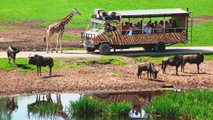 Eigene Anreise Deutschland: Serengeti-Park Hodenhagen