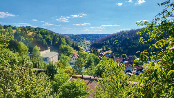 Bild 1 von Eigene Anreise Deutschland/Thüringer Wald - Masserberg: Werrapark Resort Sommerberg