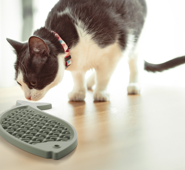 Bild 2 von IDEENWELT Schleckmatte