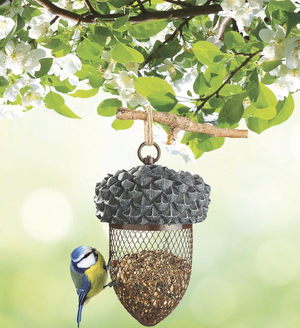 Bild 2 von IDEENWELT Vogelfuttersilo Eichel