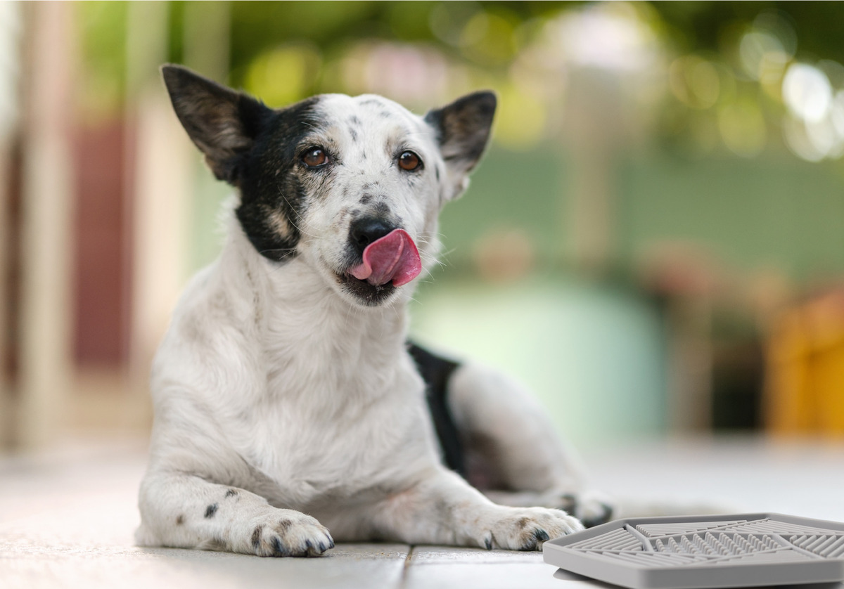 Bild 2 von IDEENWELT Schleckmatte