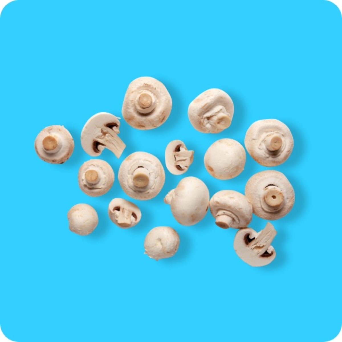 Bild 1 von Champignons, weiß