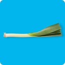 Bild 1 von Porree / Lauch