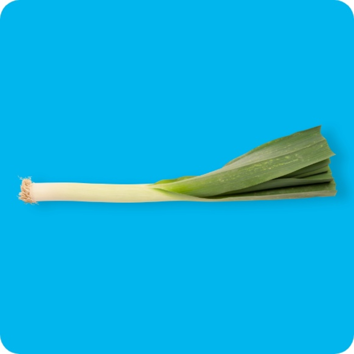 Bild 1 von Porree / Lauch