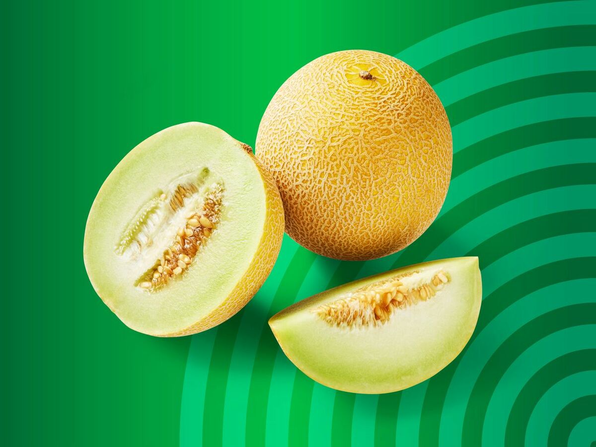 Bild 1 von Premium Galiamelone